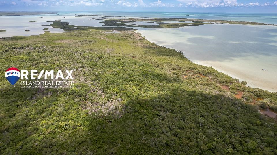 Remax real estate, Belize, San Pedro, 6 Acre Investment Parcel with 400FT Water Frontage 